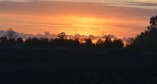 sky