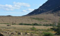 Gros Morne Tablelands nature outdoors Canadian north Sailing ever northward in search of wildlife, culture and history
