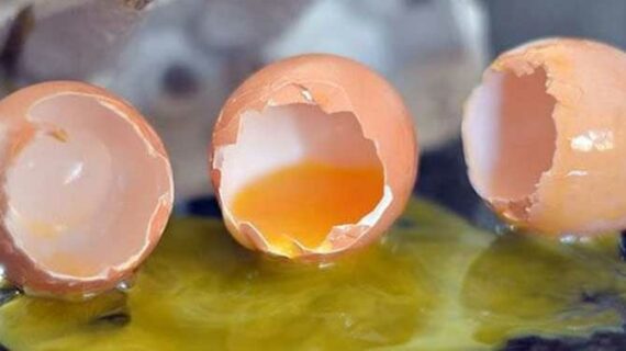 Broken eggs Politicians are long on promises but short on delivery