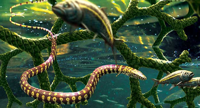 Fossil thought to be missing link between lizards, snakes debunked